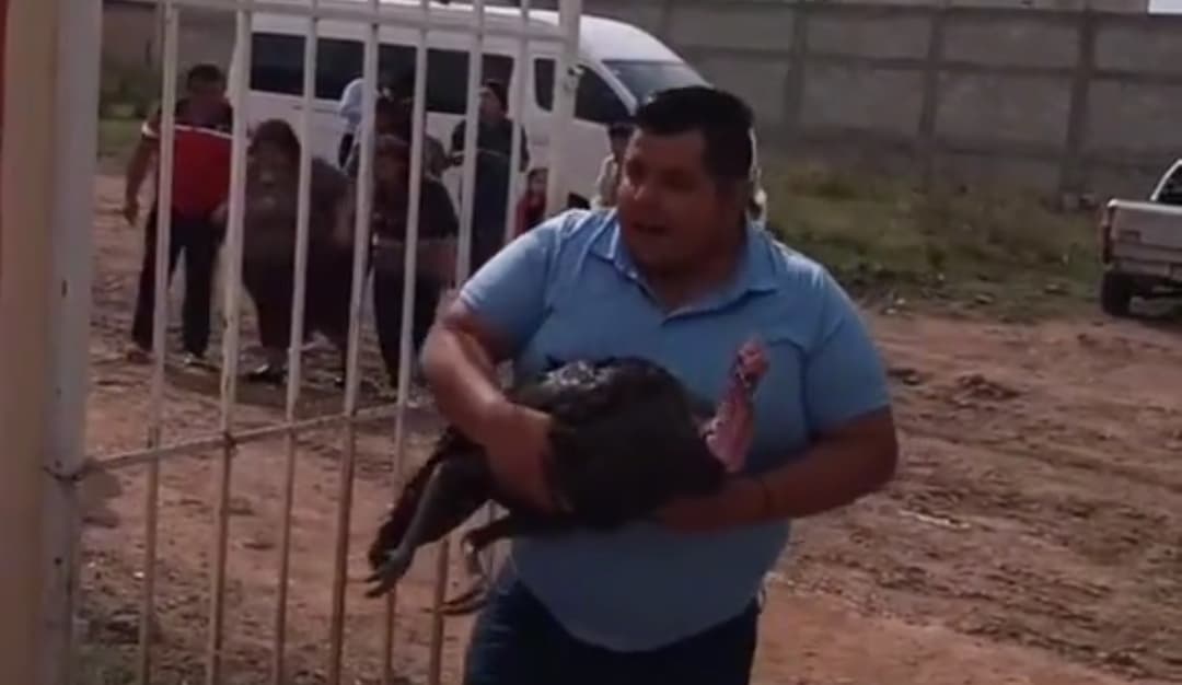 Bailó con un pavo en la pedida de mano de la novia: pensó que era una tradición