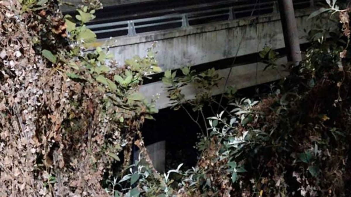 Encuentran cuerpo sin vida en puente vehicular de la CDMX