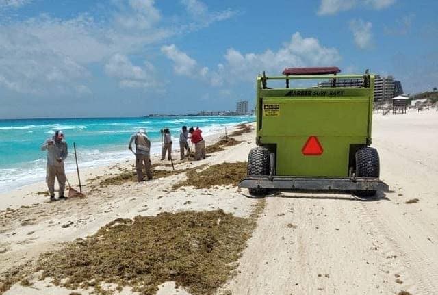 Presentan estrategia contra el sargazo para la Riviera Maya, buscan recolectarlo desde el mar