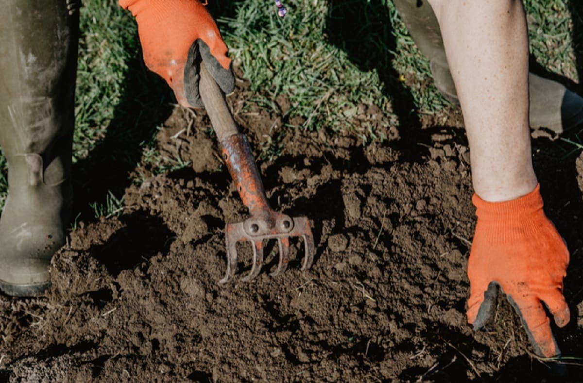 Campesino pierde la vida tras pisar una mina artesanal en Michoacán
