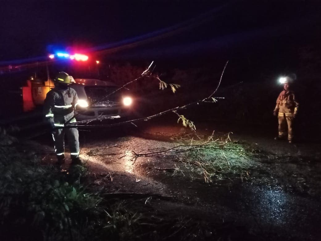 Árboles caídos bloquearon carretera Kantunilkín-Tizimín