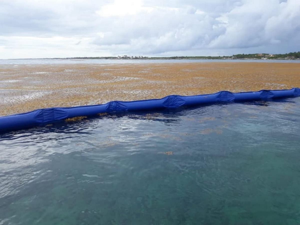 Quintana Roo se prepara para afrontar la temporada de sargazo