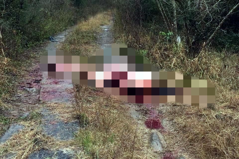 Detectan a peligrosa banda que roba caballitos, los sacrifica, destaza y vende su carne