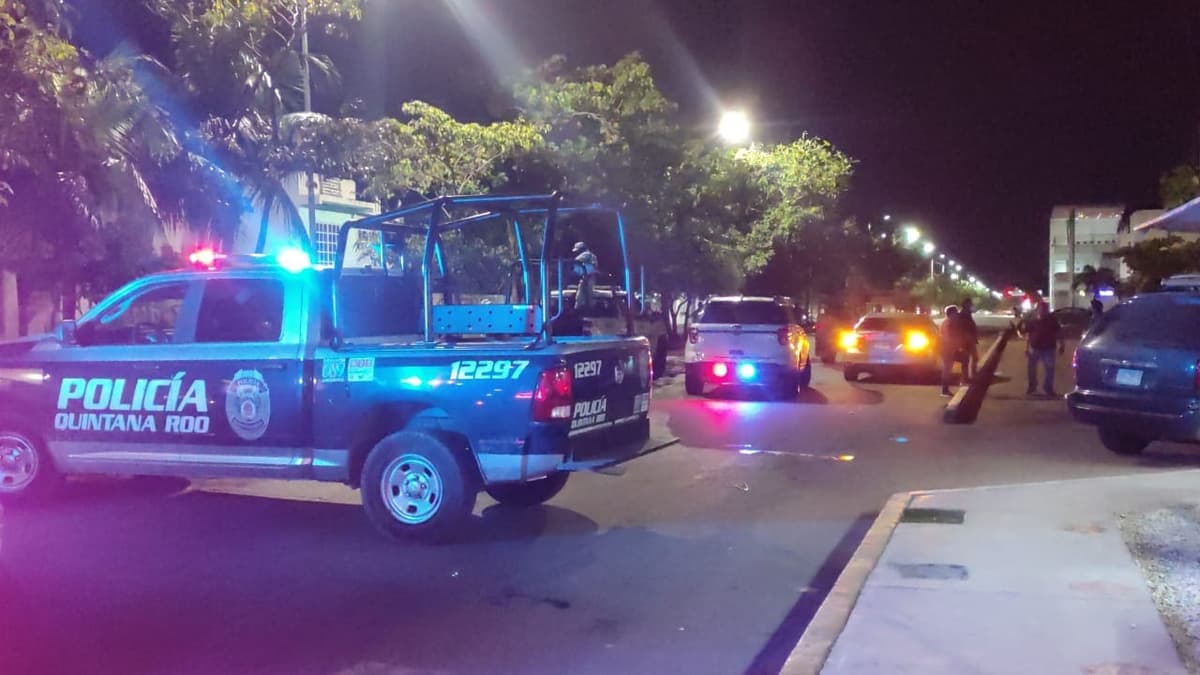 Sicarios yerran y matan a un perro, en Playa del Carmen