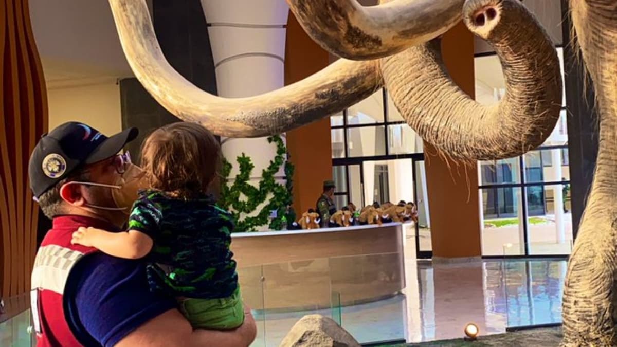 Hijo de AMLO, José Ramón López, se pasea por el AIFA con su familia