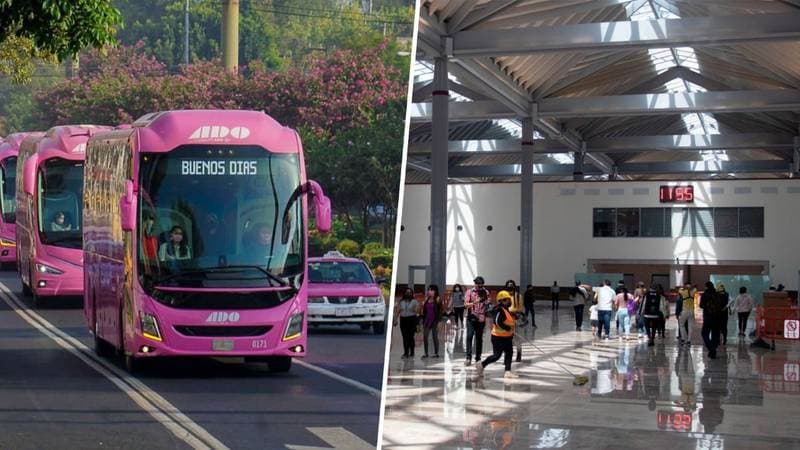 Estas son las líneas de autobuses que anunciaron costos y horarios hacia el AIFA