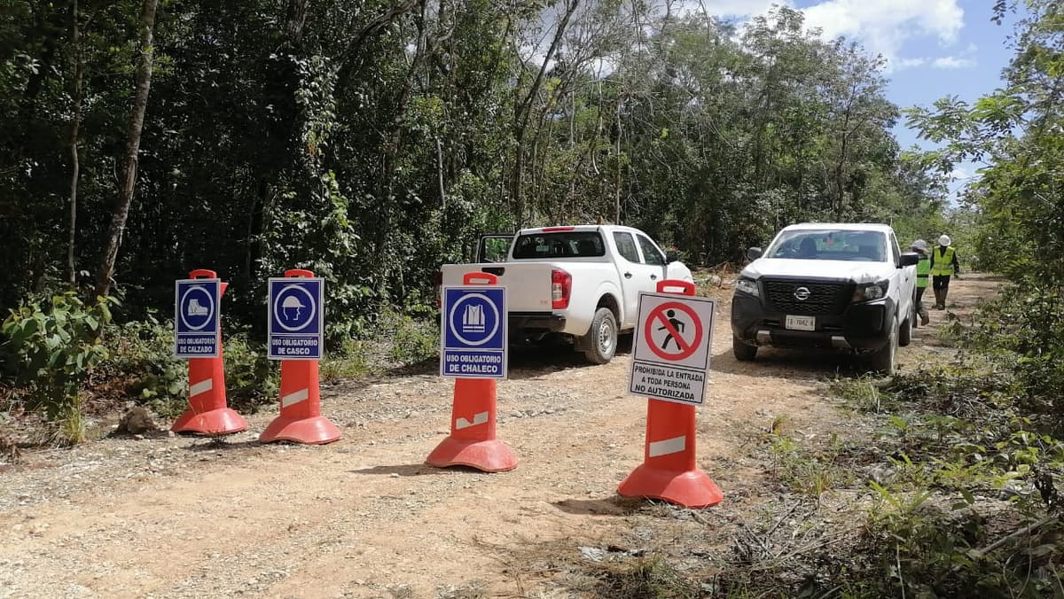 Amplían desmonte en Playa del Carmen por Tren Maya