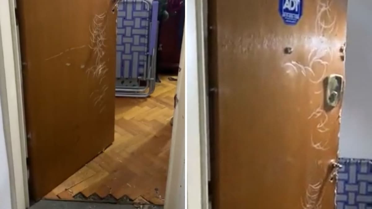 VIDEO: Abuelita relata momentos de pánico que vivió con su esposo tras allanamiento por error