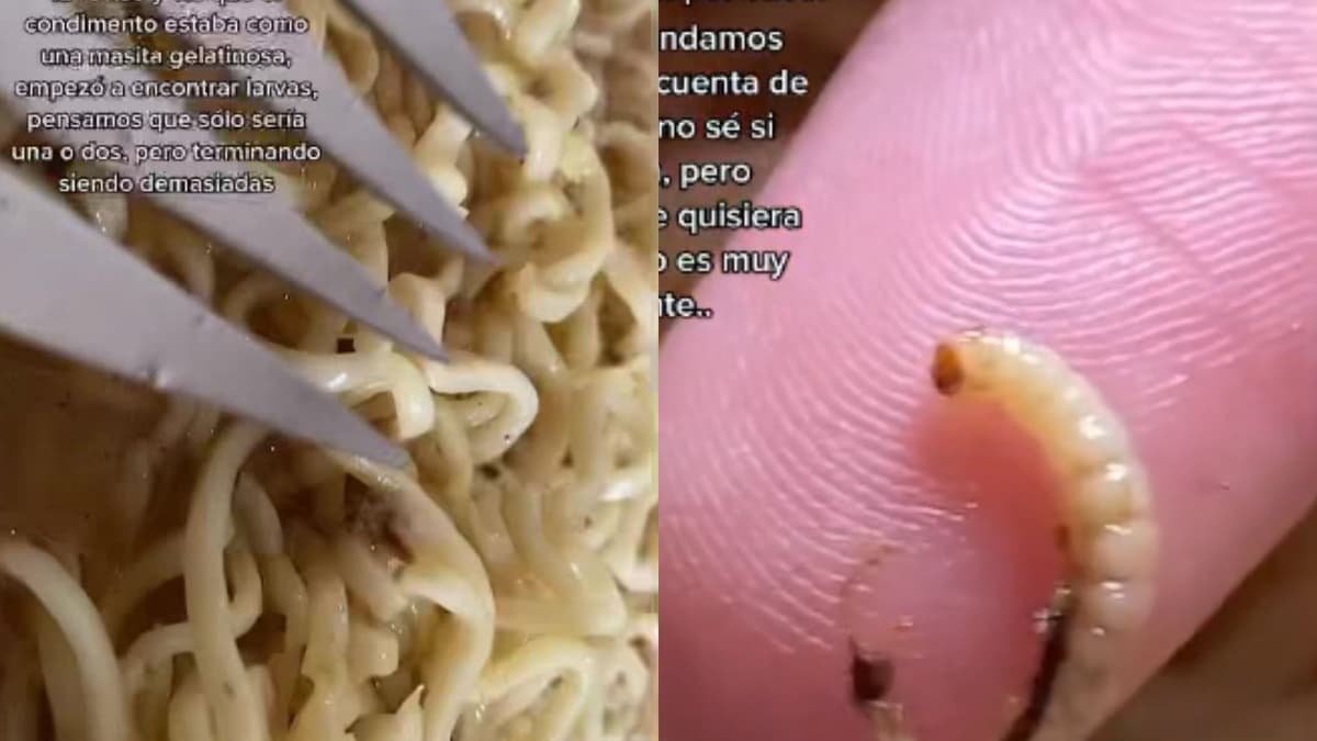 Video: Descubre enormes gusanos en su sopa instantánea Maruchan