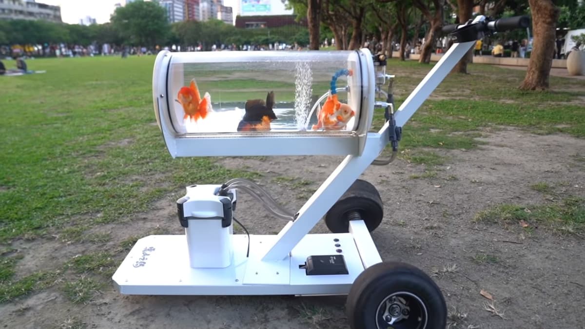 Video: Hombre crea pecera "portátil" para sacar a pasear a sus peces