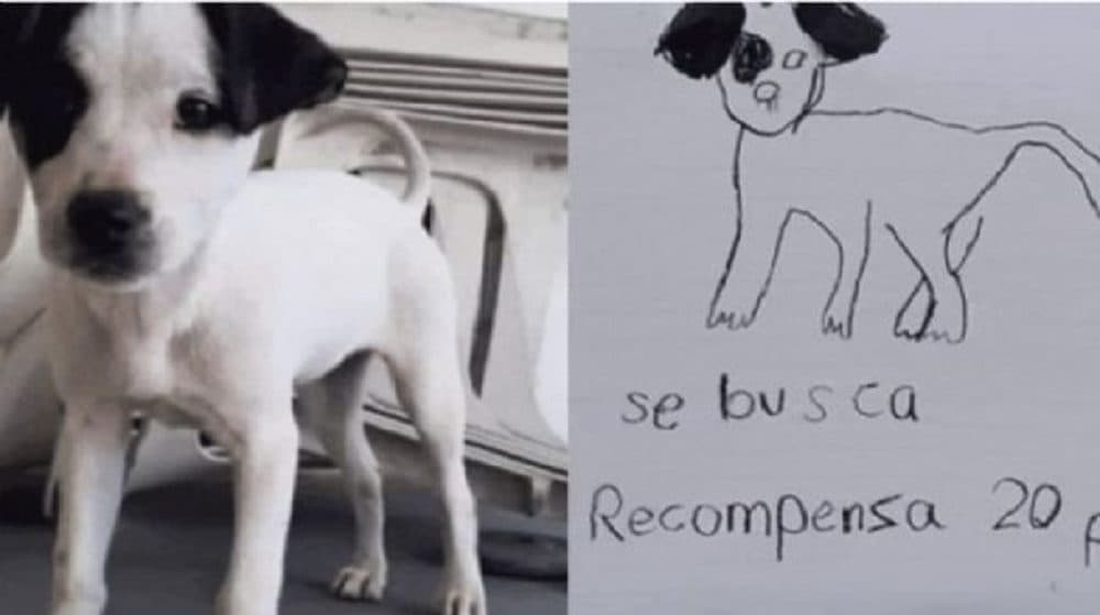 Con un dibujo, niñas recuperan a su perrito perdido en Nuevo León