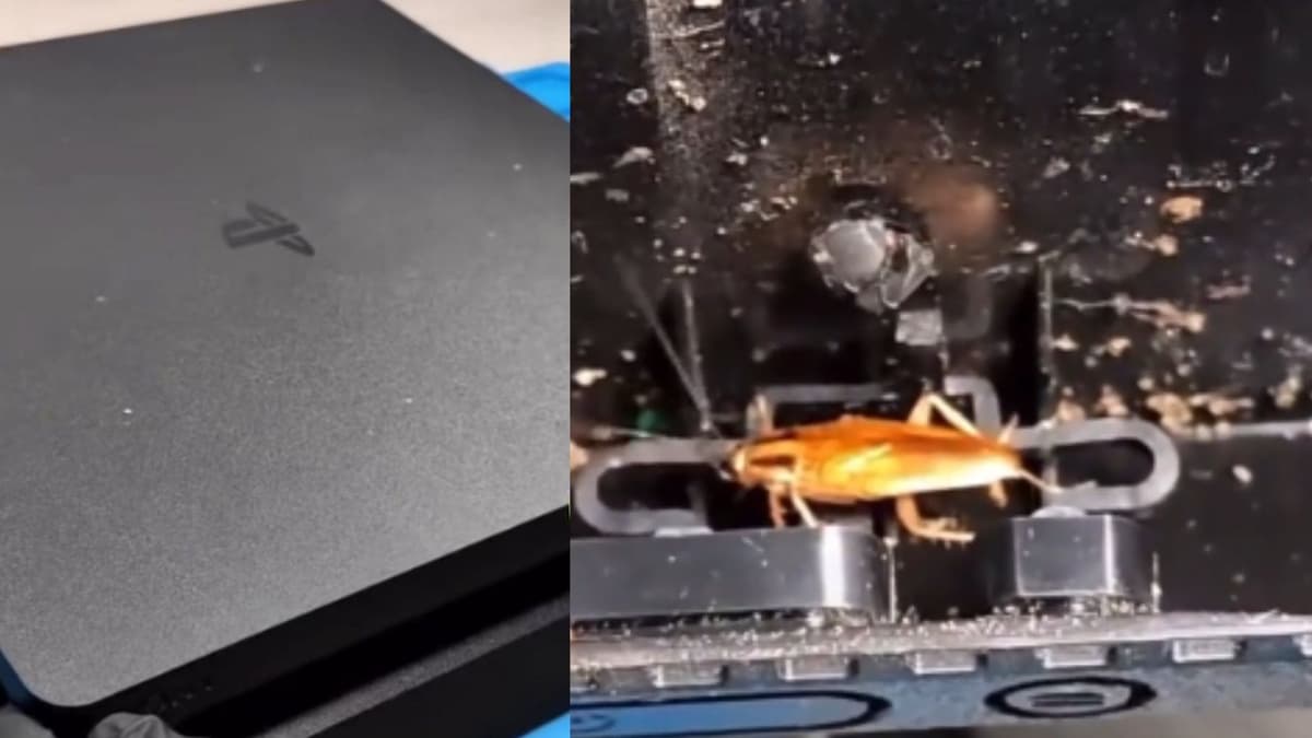Video: Técnico descubre "nido de cucarachas" en un PS4