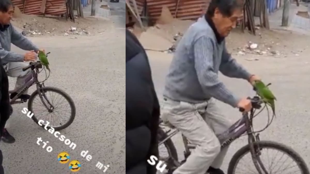 Video: Abuelito pasea con su loro en bici y lo usa como "claxon"