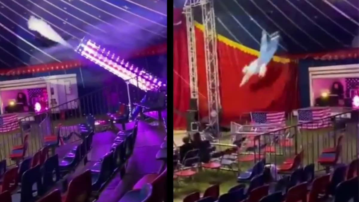 VIDEO: Hombre bala sale disparado y cae al piso durante función de circo
