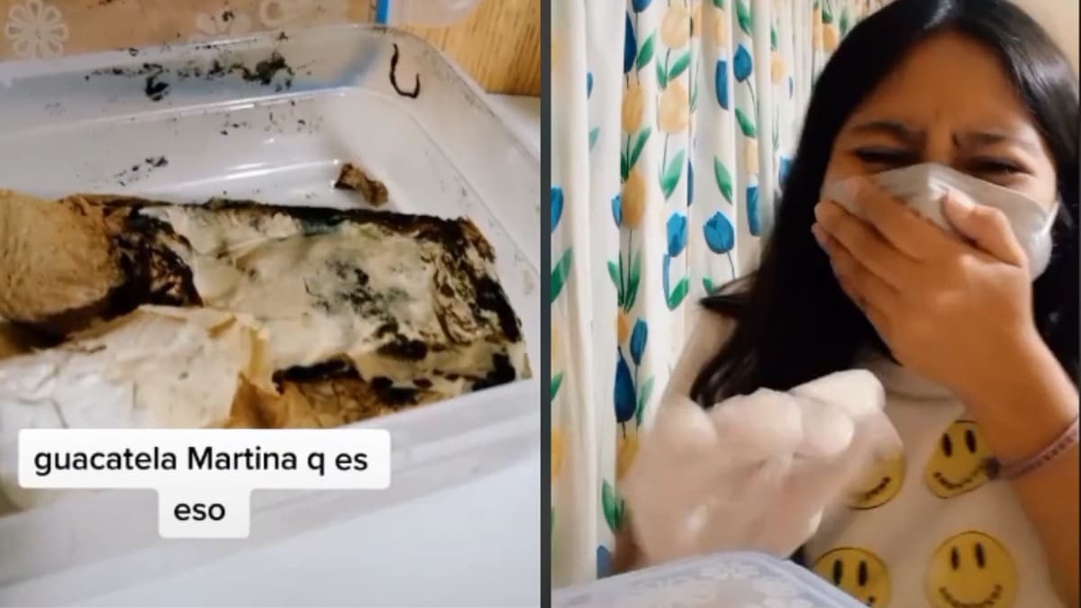 Video: Joven abre sándwich que guardó en 2020 y su resultado se vuelve viral