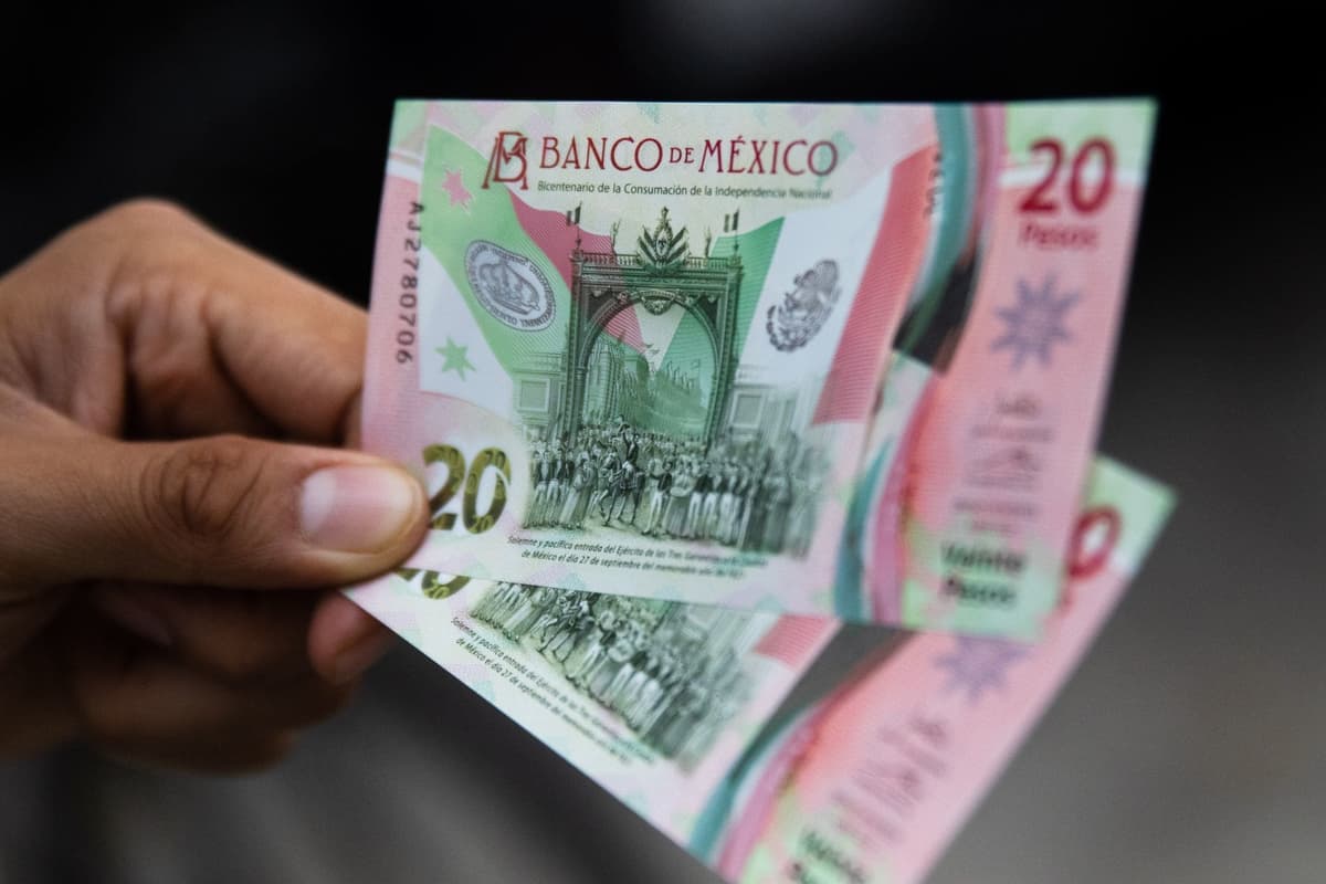 Ofrecen hasta 35 mil pesos por billete de 20 pesos