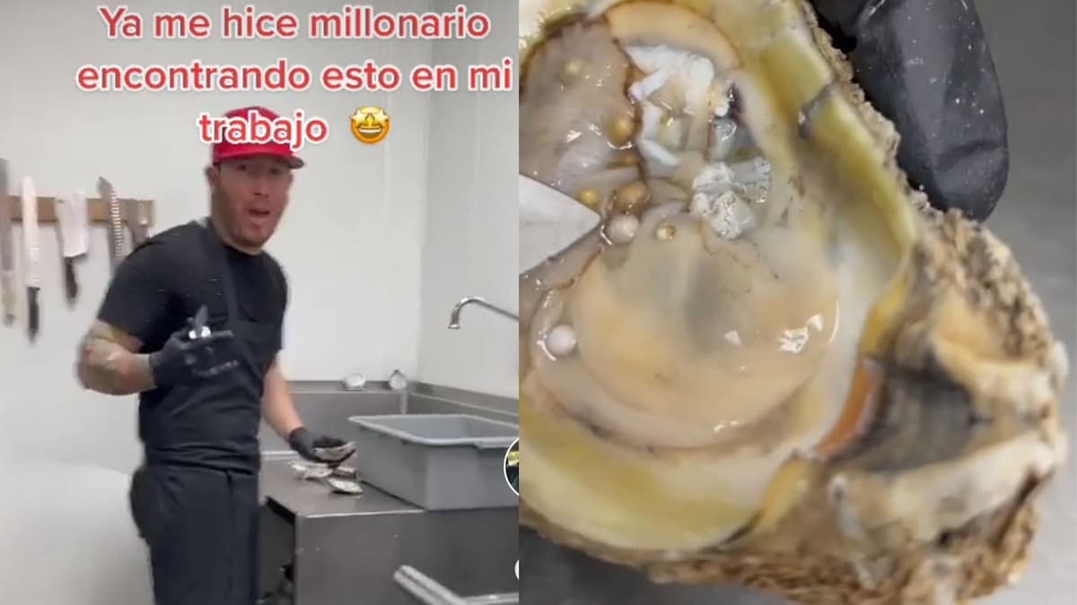 "Ya me hice millonario": Trabajador de marisquería encuentra perlas limpiando ostras