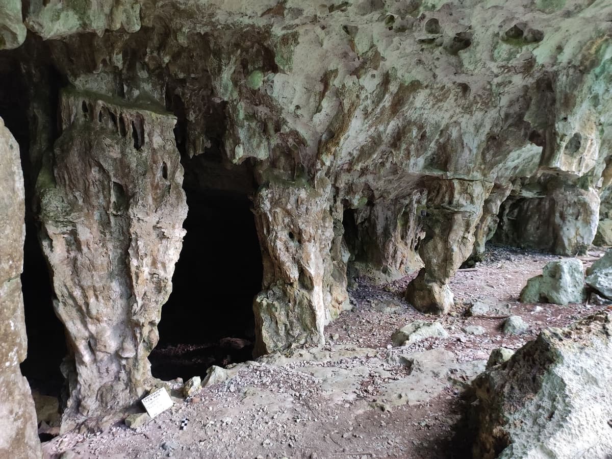 INAH miente: sitios arqueológicos se descubrieron antes del Tren Maya