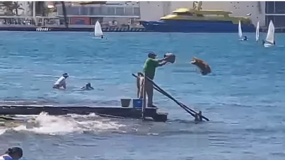 VIDEO: Recogen el sargazo en Cozumel... para volver aventarlo al mar