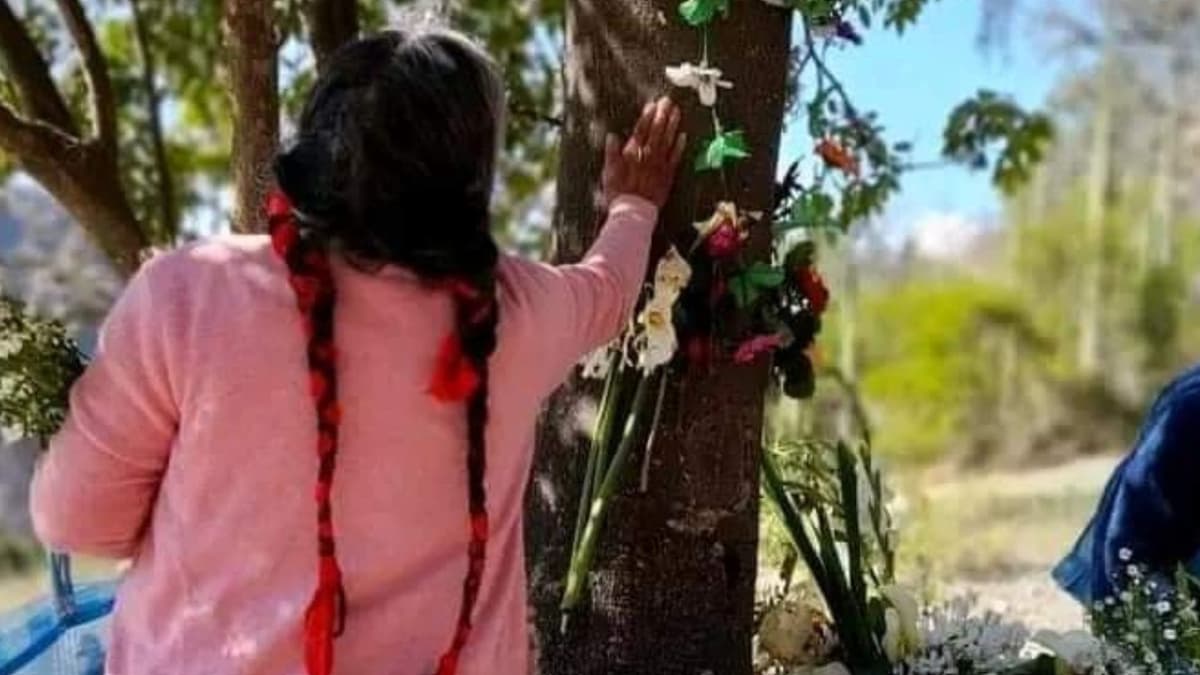 VIDEO: Reportan aparición de silueta de la Virgen de Guadalupe en un árbol de Puebla