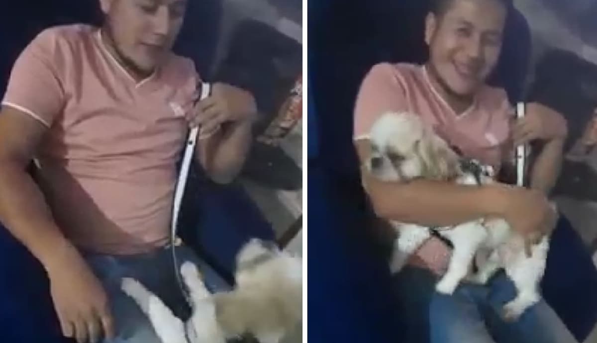 Taxista adopta a perrito que pasajero abandonó en su coche