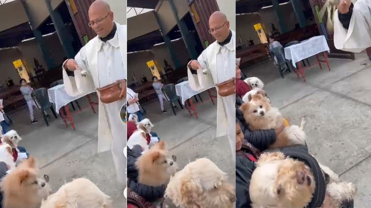 VIDEO: Sacerdote lanza agua bendita a perrito y su 'explosiva' reacción sorprende en redes