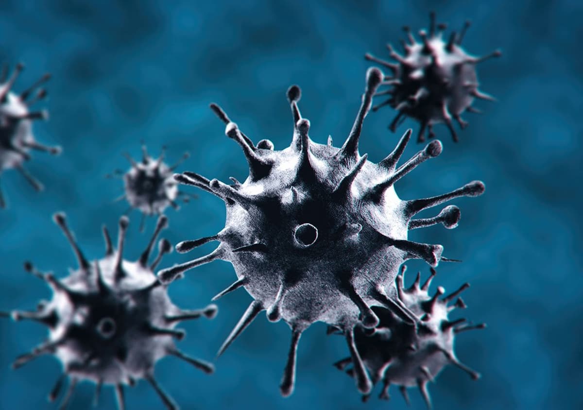 Científicos reviven un virus "zombie" que estuvo congelado 48 mil 500 años