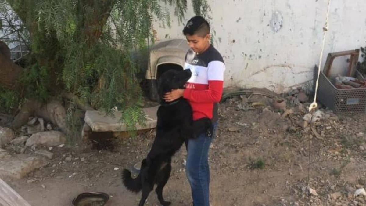 Alexander y su manada: El niño que ha rescata perritos y gatitos