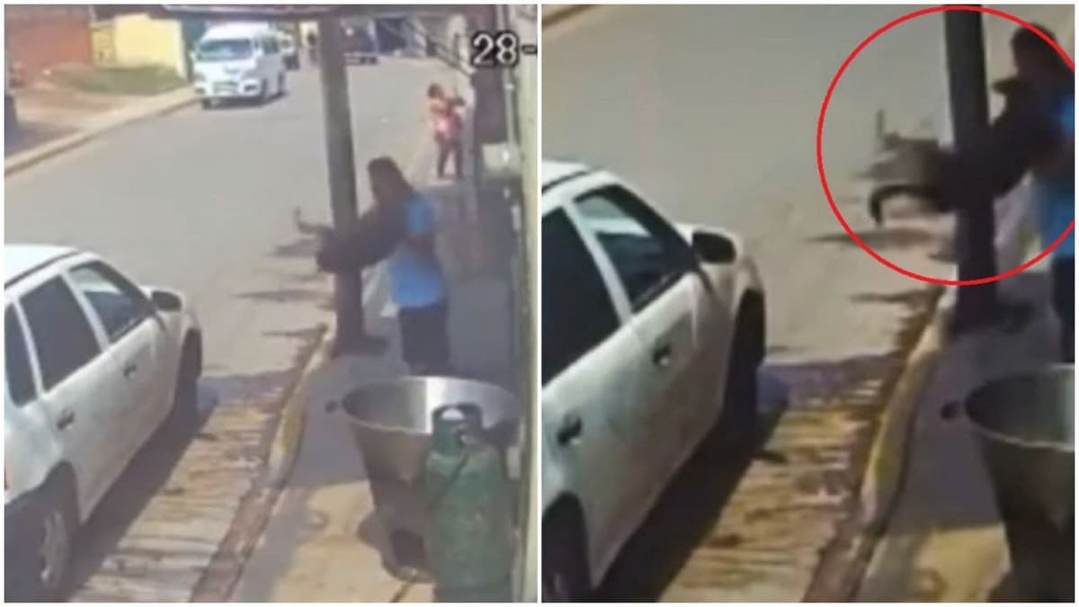 Hombre lanza a perro en cazuela con aceite hirviendo en Edomex; huye del lugar