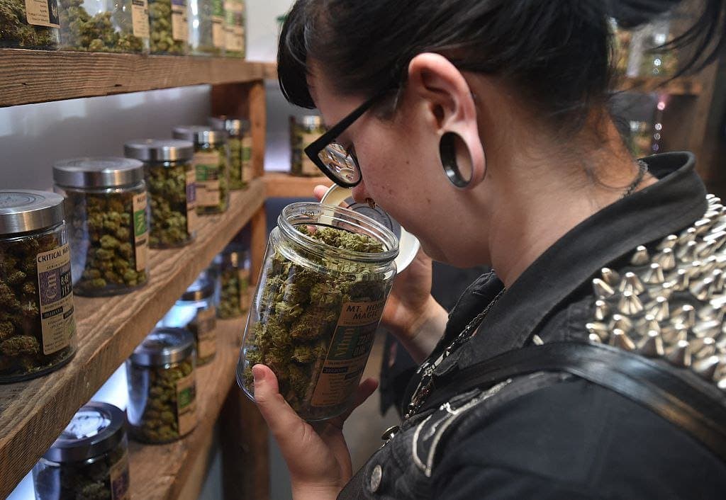 EU reporta récord de trabajadores 'pachecos'