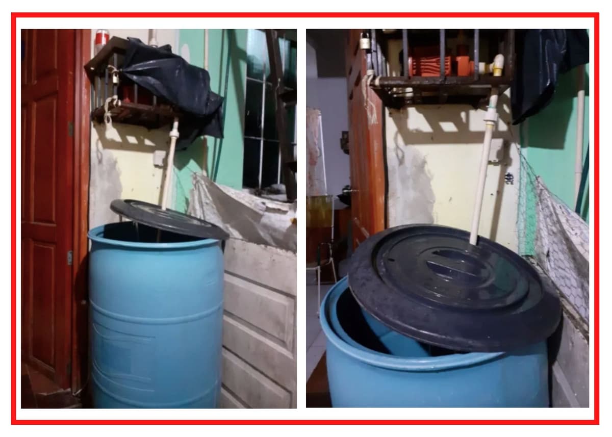 Innovadora solución local: Las 'cisternitas', la respuesta creativa para almacenar el agua en Cancún