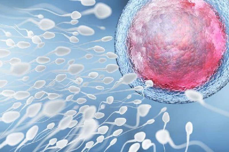Nació el primer bebé del mundo concebido con un nuevo método de fertilidad