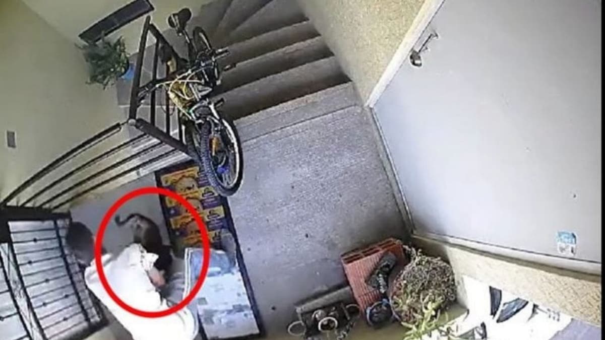 VIDEO: Sujeto golpea y arroja a perrito de tercer piso, en Puebla