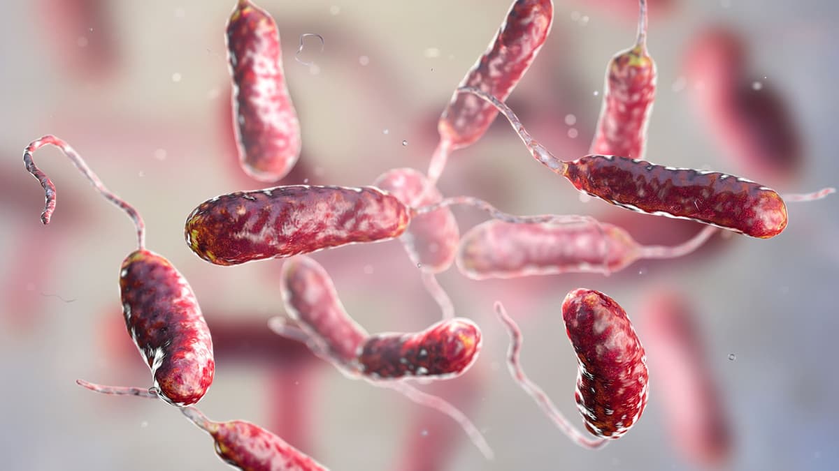 Reportan cinco muertos en Florida por bacteria “come carne” en lo que va de 2023