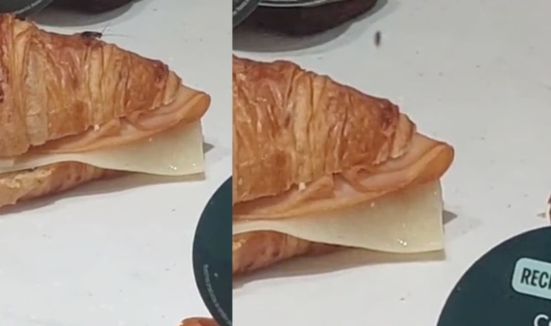 VIDEO: Captan a cucaracha entre la comida de Starbucks 