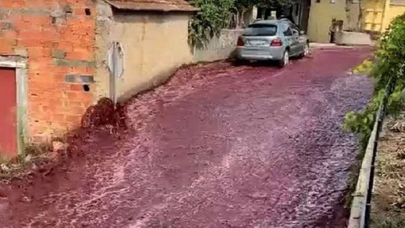 Video: Ríos de vino tinto inundan pequeña ciudad de Portugal