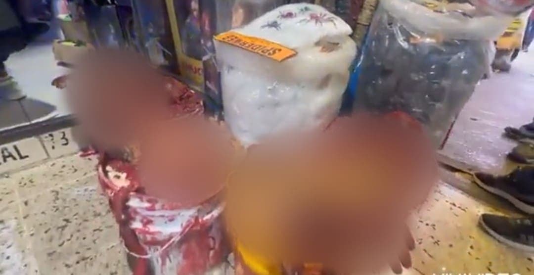 VIDEO: Califican de "macabra" decoración de Halloween que simula descuartizados en el Mercado de Sonora, CDMX