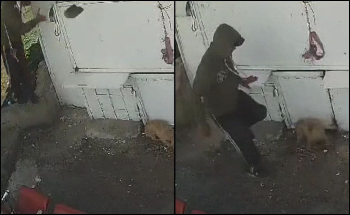 VIDEO: Captan a trabajador de limpia de Naucalpan, Edomex golpeando a perrito