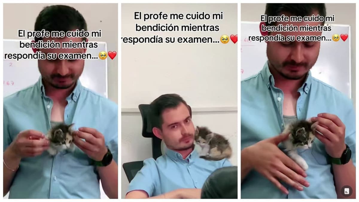 Video: De docente a héroe: profesor cuida al michi-"bendición" de una alumna durante un examen