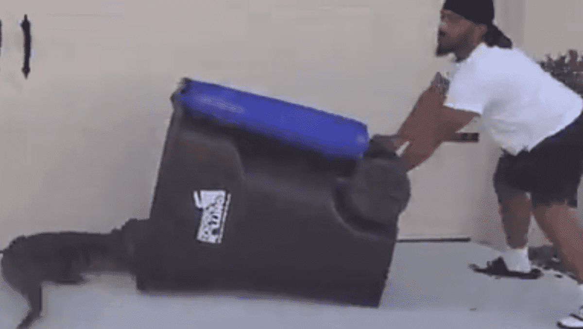 Video: Valiente hombre atrapa a un cocodrilo en Florida