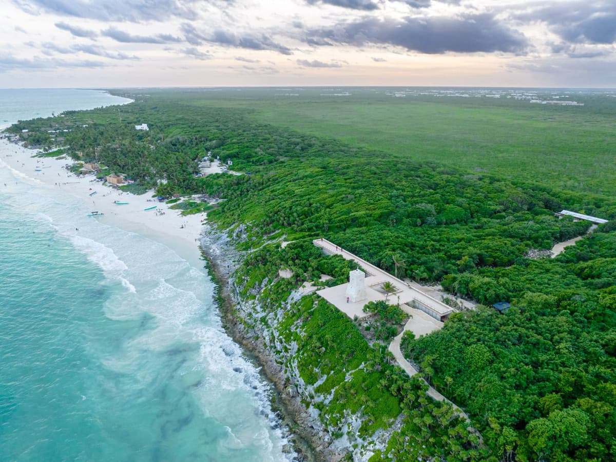 Tulum se transforma con la creación del nuevo parque del Jaguar que preservará a esta especie