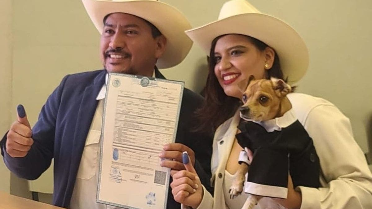 Perrito firma como testigo en la boda de sus dueños y se viraliza