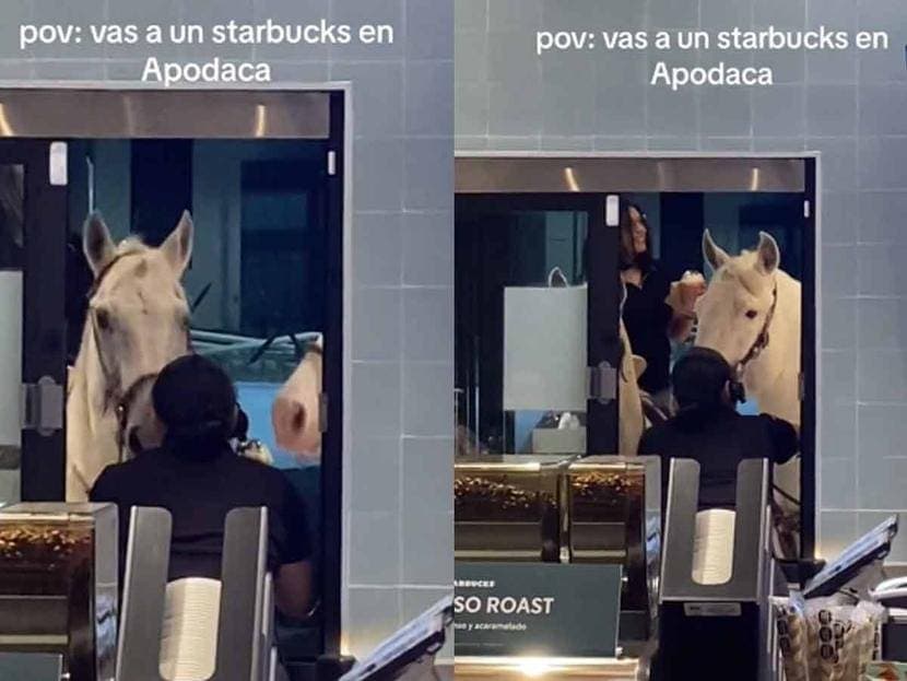 Video: Jóvenes llegan en caballo al Starbucks de Apodaca, NL