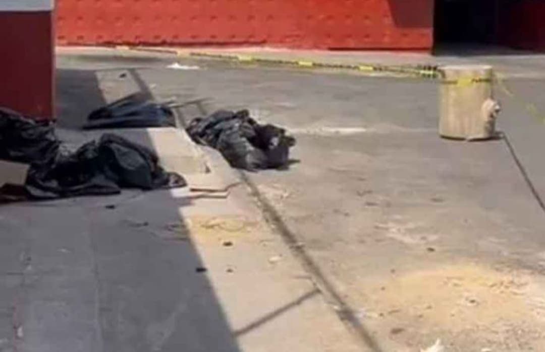 Vecinos hallan bolsas con animales decapitados en CDMX