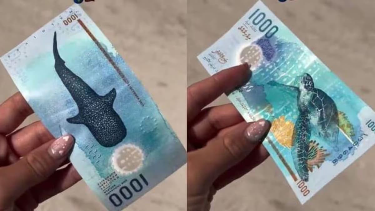 ¿Supera al ajolote? Conoce uno de los billetes más hermosos del mundo