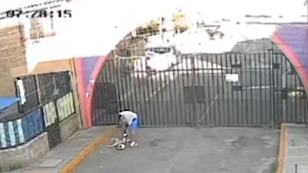 VIDEO: Captan a hombre golpeando a su perro al sacarlo a pasear en Tultepec, Edomex