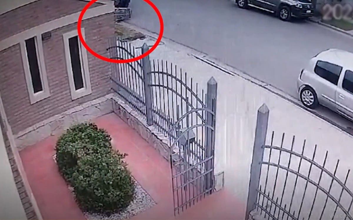 Hombre de 81 años muere tras caer de una camilla; se les volteó a los paramédicos