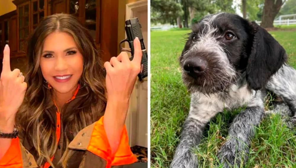 Gobernadora en EEUU mató a mascota por "indomable"