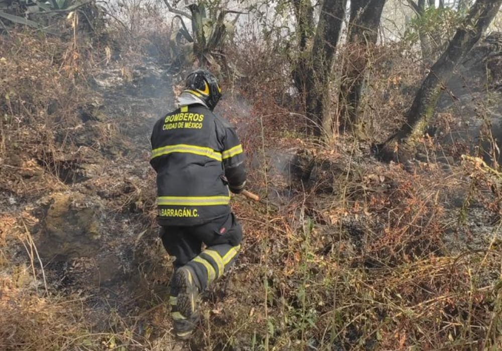 Video: Reportan fuerte incendio en el Bosque de Tlalpan, CDMX
