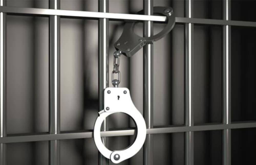 Capturan a 11 chinos por venta de drogas y explotación sexual en CDMX